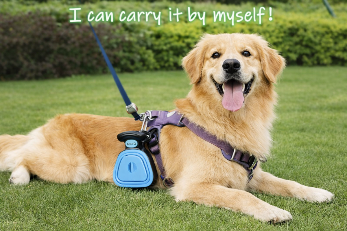 Foldable Dog Pet Travel Poop Scoop